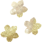 image02s